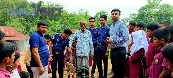 জাফলংয়ে লজ্জাবতী বানর উদ্ধার