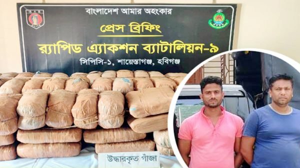 হবিগঞ্জে গাঁজাসহ দুই মাদক ব্যবসায়ী গ্রেফতার
