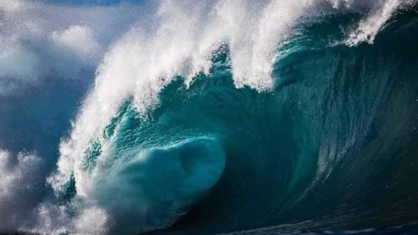 ৭.৮ মাত্রার ভূমিকম্প, নিউজিল্যান্ডসহ ৪ দেশে সুনামির আশঙ্কা