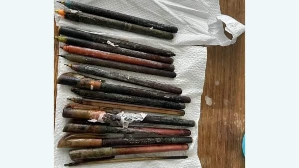 ১৫ টি কলম অপারেশন ছাড়াই যুবকের পেট থেকে বের করলেন চিকিৎসক