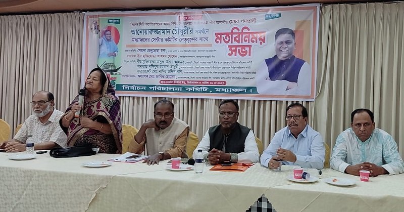 নৌকাকে বিজয়ী করতে ঐক্যবদ্ধভাবে কাজ করুন : জেবুন্নেসা হক