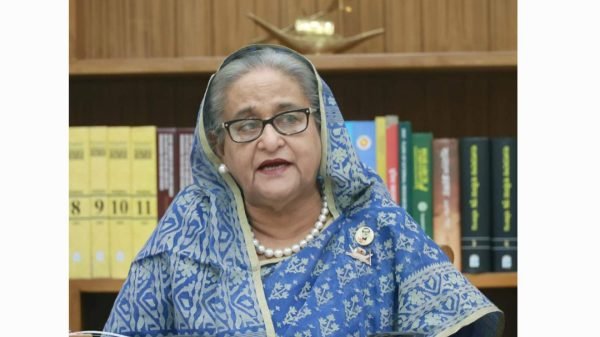 সংসদ সদস্যদের নিয়ে নির্বাচনকালীন সরকার গঠন করা যেতে পারে: প্রধানমন্ত্রী