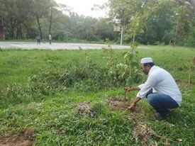 ভয়েজে নিউজ প্রকাশের পর গাছ কাটার স্থানে বৃক্ষ রোপণ করলো শাবি প্রশাসন