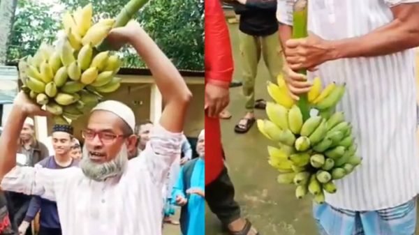 সিলেটে এক কাঁদি কলা ২০ হাজার টাকায় বিক্রি!