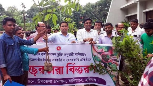 পরিবেশের ভারসাম্য রক্ষায় গাছ রোপণের কোন বিকল্প নেই