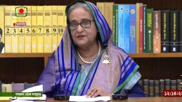 শত ফুল ফুটতে দিন, সবচেয়ে সুন্দরটি আমি বেছে নেবো: প্রধানমন্ত্রী