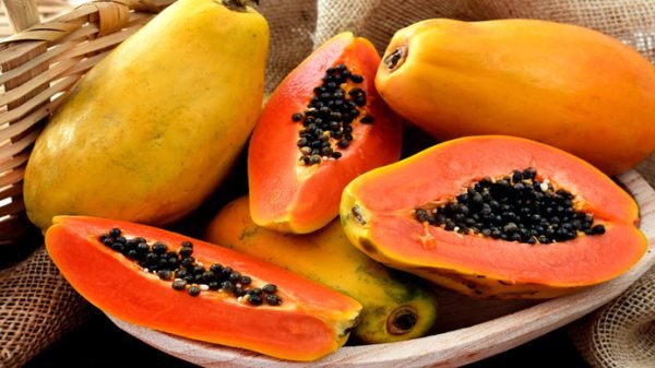 যে ৫ খাবার কখনো পেঁপের সঙ্গে খাবেন না