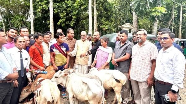 দেশের অগ্রগতি, উন্নয়ন, বজায় রাখতে নৌকা মার্কার কোন বিকল্প নেই: পরিবেশমন্ত্রী