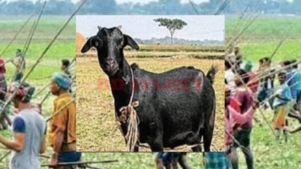 কাঁঠালের পর এবার শান্তিগঞ্জে ছাগল নিয়ে দুই পক্ষের সংঘর্ষে আহত ৭