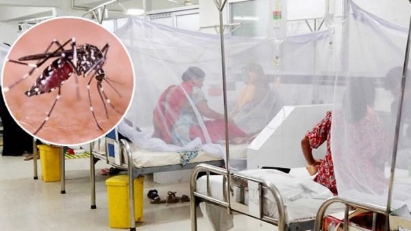 ডেঙ্গুতে আক্রান্ত হয়ে আরও ৪ জনের মৃত্যু, শনাক্ত ২৬৯৪