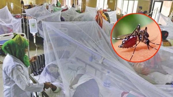 ডেঙ্গুতে ২৪ ঘণ্টায় ৮ জনের মৃত্যু, হাসপাতালে ২১৬৮