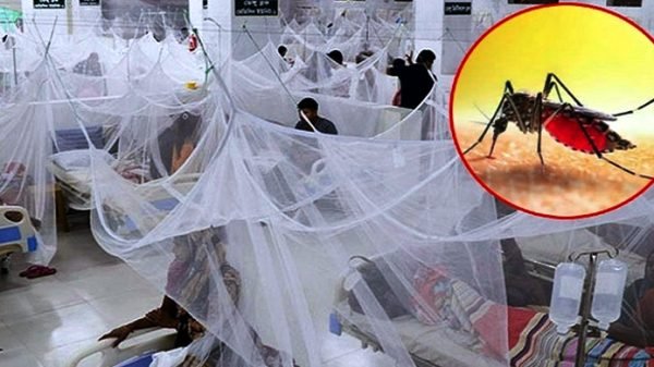 ২৪ ঘন্টায় ডেঙ্গুতে আরও ১২ জনের মৃত্যু