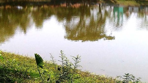 হবিগঞ্জে পানিতে ডুবে দুই শিশুর মৃত্যু