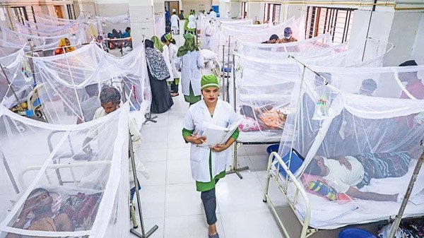 ডেঙ্গুতে আক্রান্ত আরও ৯ জনের মৃত্যু, হাসপাতালে ১৯৬০