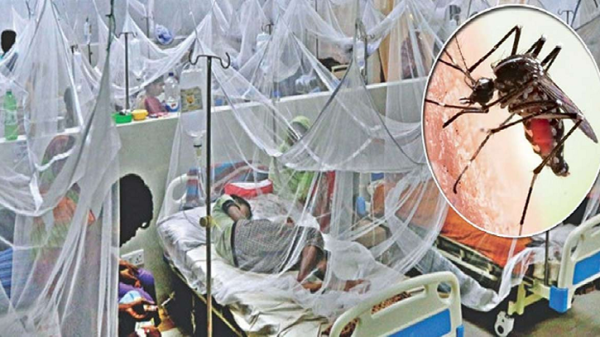ডেঙ্গুতে আক্রান্ত হয়ে আরও ১২ মৃত্যু