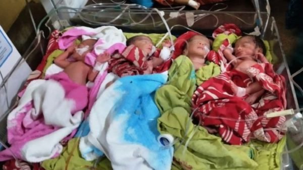 সিলেটে এক সাথে চার সন্তানের জন্ম দিলেন মমতা দেবী