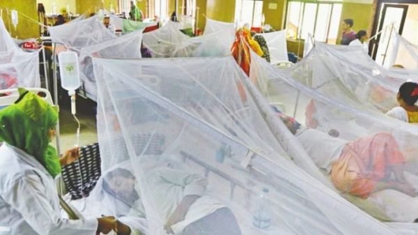 ডেঙ্গুতে ২৪ ঘণ্টায় ১১ জনের মৃত্যু, হাসপাতালে ২৯৪৪