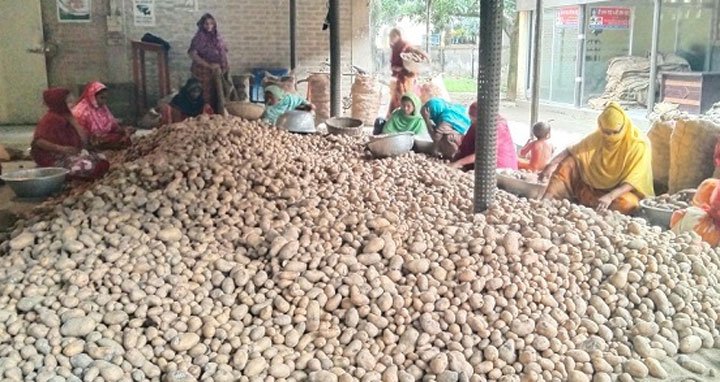 হিমাগারের আলু ২৬-২৭ টাকায় বিক্রি কার্যকরে ডিসিদের নির্দেশ