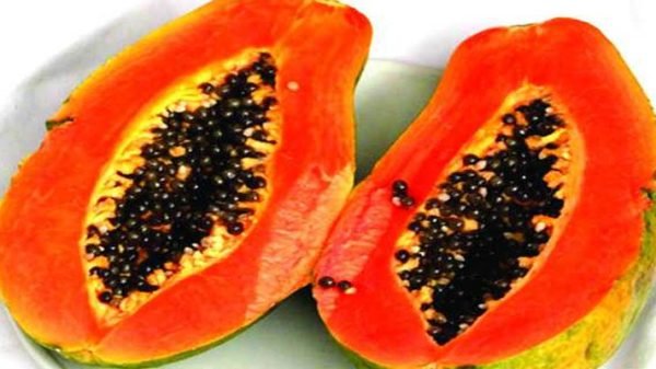 জেনে নিন, কাঁচা না পাকা পেঁপে, কোনটি বেশি উপকারী?