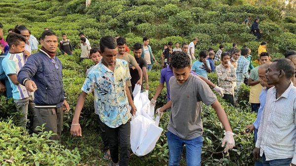 সিলেটে চা বাগান থেকে যুবকের হাত কাটা মরদেহ উদ্ধার