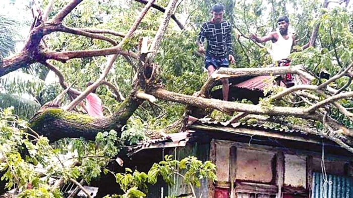 ‘মিধিলি’র আঘাতে ৭ জন নিহত