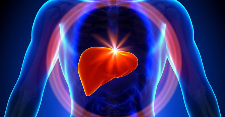 লিভার সুস্থ রাখার ১০ সহজ উপায়
