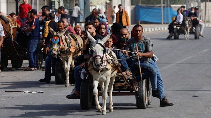 গাড়ির বদলে গাজায় এখন চলে ঘোড়া, গাধা