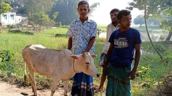 মাধবপুরে রোগীদের থেকে গরু-ছাগল উপহার নেন তিনি