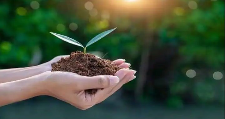 আজ বিশ্ব মৃত্তিকা দিবস