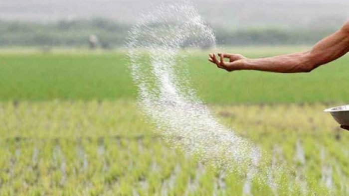 আরও ৫৫ হাজার টন টিএসপি সার কিনবে সরকার