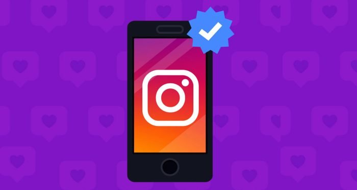 ইন্সটাগ্রাম অ্যাকাউন্ট ব্লু ভেরিফায়েড করুন খুব সহজেই