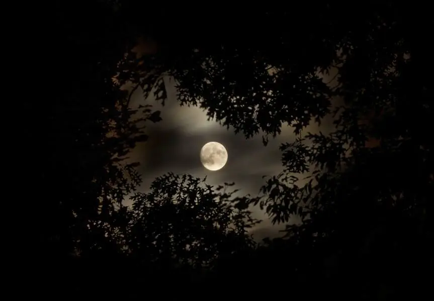 পৃথিবীর বুকে আজ বছরের দীর্ঘতম রাত