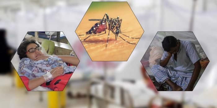 চলতি বছরে ডেঙ্গুতে মৃত্যু ১৭০০ ছুঁই ছুঁই