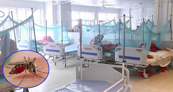 এ বছর ডেঙ্গুতে মৃত্যু ১৭০০ ছাড়াল