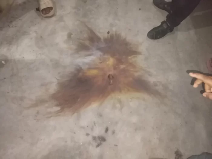 দুর্গাপুরে স্বতন্ত্র প্রার্থীর নির্বাচনী অফিসে ককটেল হামলা