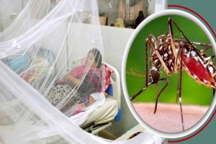 ডেঙ্গুতে গত ১৭ দিনে ৬০ জনের প্রাণহানি