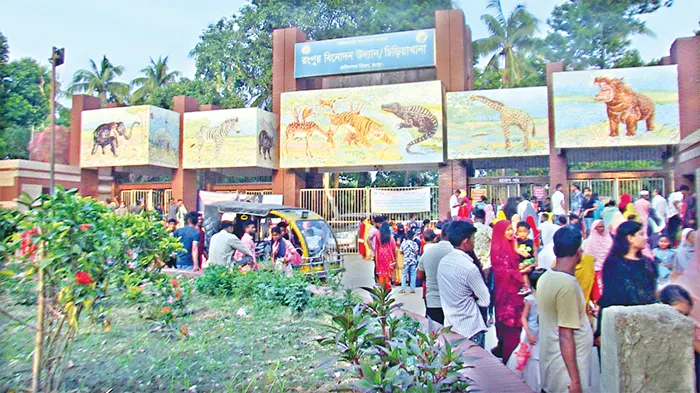 শীতে সিংহের খাঁচায় রুম হিটার, ঘোড়াকে দেওয়া হলো কম্বল