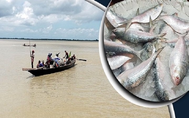 দুই মাস পদ্মা-মেঘনা নদীতে সব ধরনের মাছ ধরা নিষিদ্ধ