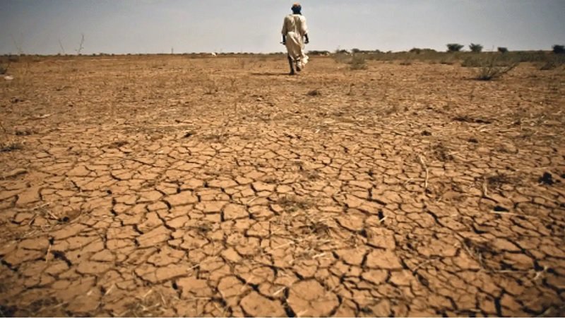 ভয়াবহ খরায় জিম্বাবুয়ে, জাতীয় দুর্যোগ ঘোষণা