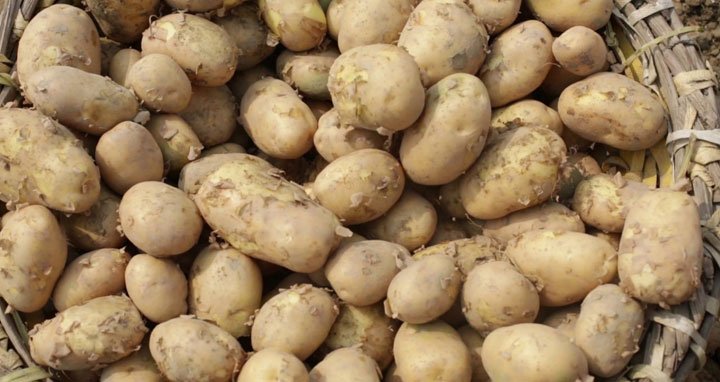 ঈদের পর আবারও অস্থির আলুর বাজার