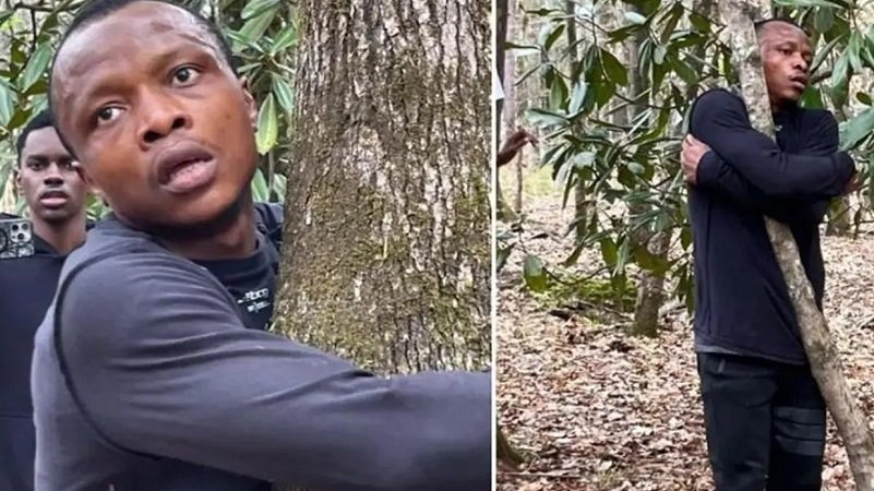 গাছের সঙ্গে কোলাকুলি করে রেকর্ড