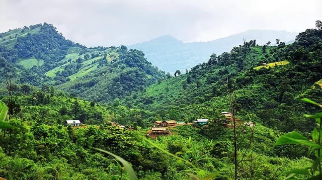 এবার কুকি চিনের সহযোগী গ্রেপ্তার