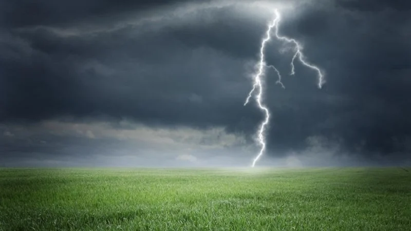 বর্তমানে বহু মহিলা জরায়ু ফাইব্রয়েড বা ক‌্যানসারবিহীন টিউমার এবং এই সংক্রান্ত বিভিন্ন শারীরিক সমস‌্যায় ভুগছেন।