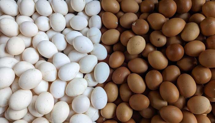 আবারও অস্থির ডিমের বাজার