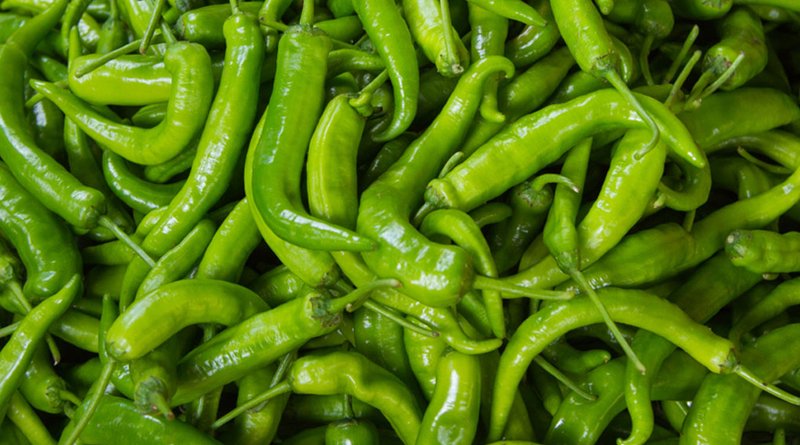 ভারত থেকে দুইদিনে এলো ১২০ টন কাঁচা মরিচ