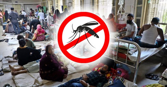 দেশে ডেঙ্গুতে ২ জনের মৃত্যু, আক্রান্ত ২৭২