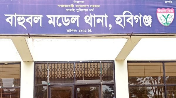 হবিগঞ্জে ছোট ভাইয়ের শাবলের আঘাতে বড় বোনের মৃত্যু