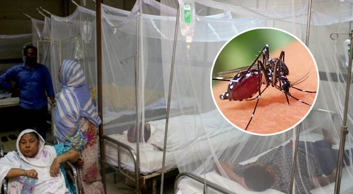 আগস্টে বেড়েছে ডেঙ্গু রোগী