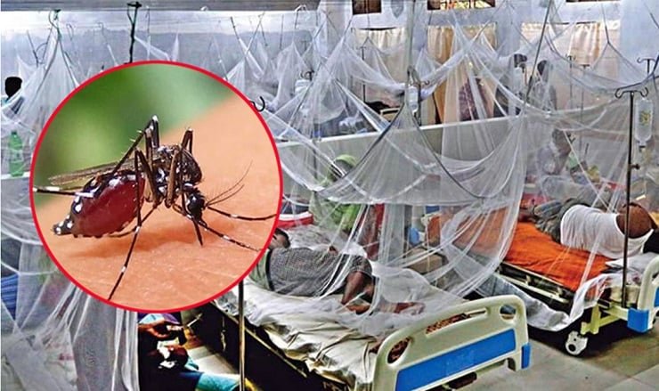 আতঙ্ক ছড়াচ্ছে ডেঙ্গু, ১৩ দিনে প্রাণ গেল ২০ জনের