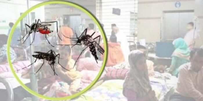 ডেঙ্গু শনাক্ত ২৩ হাজার ছাড়ালো